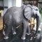 Elefant Africa Vintage