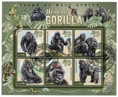 SIERRA LEONE 2015 - Fauna, Gorile / colita foto