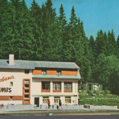 CPI B 11829 CARTE POSTALA - JUD. BRASOV. CABANA "TIMIS"