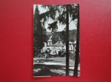 CARTE POSTALA - RPR - BORSEC - VEDERE DIN STATIUNE