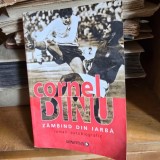 Zambind din iarba - Cornel Dinu
