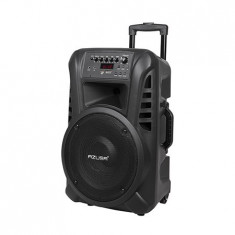 SISTEM AUDIO PORTABIL SD BLUETOOTH USB 12INCH foto