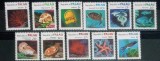 Palau 1983 fauna marina , corali, meduze,scoica ,calamar,broasca țestoasă, serie 11v nestampilata
