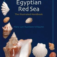 Seashells of the Egyptian Red Sea: The Illustrated Handbook