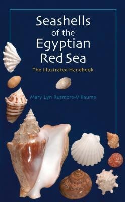Seashells of the Egyptian Red Sea: The Illustrated Handbook foto