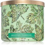 Bath &amp; Body Works Mountain Teakwood lum&acirc;nare parfumată 411 g