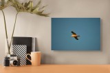 Tablou Canvas Pasăre &icirc;n zborul dimineții senine Natură și Libertate, 39 x 26 cm, CMCLASS