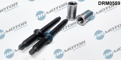 Surub, Suport Injector 265514 DRM0559 foto