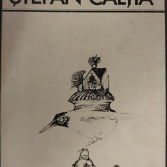 STEFAN CALTIA: ALBUM FORMAT MARE/1989 (Text de AMELIA PAVEL) [EDITURA MERIDIANE]