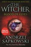 The Witcher - Vol 1 - Blood of Elves