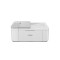CANON PIXMA TR4756I WH A4 COLOR INKJET MFP, Format A4,