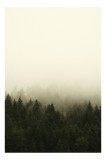 Tablou Canvas cu Pădure &icirc;n Ceață, , Verde și Gri, 26 x 39 cm, CMCLASS