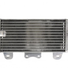 Radiator stanga Yamaha YZF WR 250 06- 13 RAD-002L