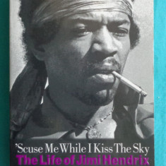 David Henderson – The life of Jimi Hendrix Scuse me while I kiss the sky