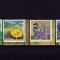 ✅RO 2014 LP 2012 ,&quot;Florile deșertului &quot; - serie - diferite colturi ,MNH