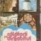 Calatorii Cu Dirijabilul - Gheorghe Tomozei