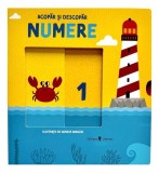 Acopăr și descopăr - Numere - Hardcover - Gabriele Clima - Univers