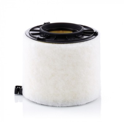 Filtru Aer Mann-Filter C17010 foto