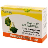 Gemoderivat muguri tei argintiu 1,5ml*30mdz, Hofigal