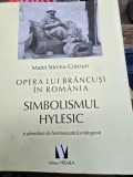 Opera lui Brancusi in Romania - Simbolismul Hylesic -O abordare de Hermeneutica Endogena - Matei Stircea-Craciun