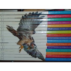 Eniclopedia ilustrata a familiei 16 volume