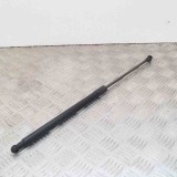 Amortizor haion dreapta NISSAN QASHQAI / QASHQAI +2 I J10, JJ10 2010 OEM: 90450-JD01B 3068178