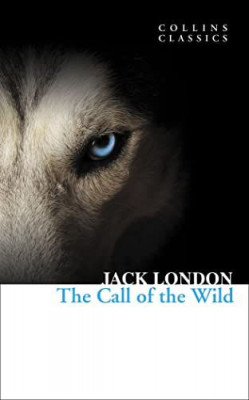 The Call of the Wild foto