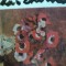 EXPOZITIA FLORILE IN OPERA PICTORULUI STEFAN LUCHIAN, BUC. 1966