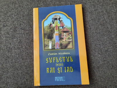 SUFLETUL INTRE RAI SI IAD , PATRUZECI DE ZILE DE LUPTA COSTION NICOLESCU , foto