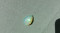 Foto  - 4