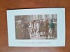 Napoleon Bonaparte dupa incoronare, reproducere tip carte postala, dupa un tablou de la Vesailles