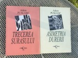 Adam Puslojic- trecerea sur&acirc;sului și asimetria durerii