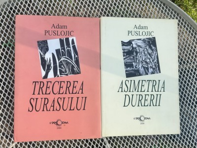 Adam Puslojic- trecerea sur&amp;acirc;sului și asimetria durerii foto