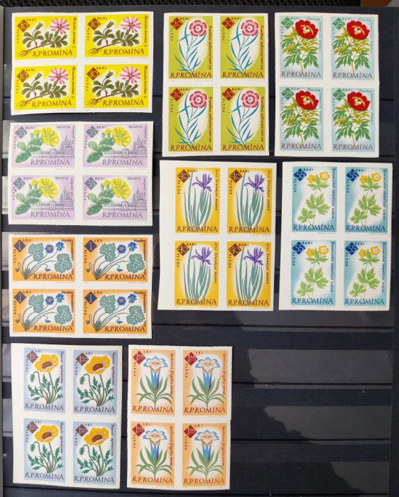 1961 Centenarul Gradinii Botanice - bloc de 4 MNH** - LP 524 + 524a dant+nedant