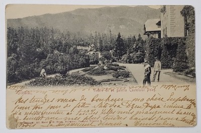 VEDERE DE PE TERASA CASTELULUI PELES , CARTE POSTALA , CLASICA foto