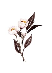 Sticker decorativ Floare, Roz, 77 cm, 3618ST foto