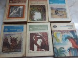 Cumpara ieftin Carti diverse pentru scoala 6 bucati