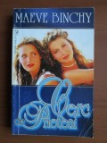 Maeve Binchy - Cerc de prieteni