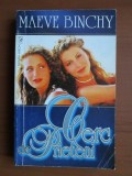 Maeve Binchy - Cerc de prieteni