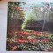 Handel &ndash; Concertos For Organ And Orchestra Op. 4, No. 2, 4; Op. 7, No. 1.