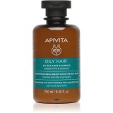 Apivita Oily Hair Oil Balance Shampoo sampon pentru curatarea profunda a scalpului seboreic pentru intarire si stralucire 250 ml