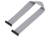 Cablu panglică SAMTEC IDC 254mm FFSD-13-D-10.00-01-N cu conectori IDC ambele părți