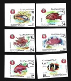 yemen mnh nedantelat