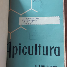 REVISTA APICULTURA IN ROMANIA ANUL 1967 , LOT 12 REVISTE AN COMPLET