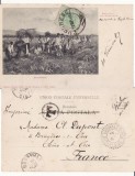 Romania - tipuri, port popular-Seceratori-clasica, TCV, Circulata, Printata