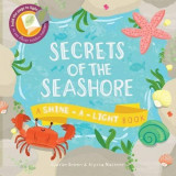 Secrets of the Seashore | Carron Brown, Alyssa Nassner, The Ivy Press