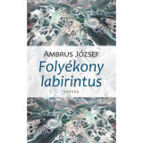 Foly&eacute;kony labirintus - Ambrus J&oacute;zsef