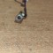 Conector Power DC Laptop Acer Aspire 5742