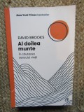 Al doilea munte. In cautarea sensului vietii - David Brooks