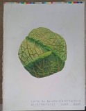 Carte de Bucate de Arhitectura - Dorin Stefan, Igloo 2009, 576 pagini, Constructii, Arhitectura